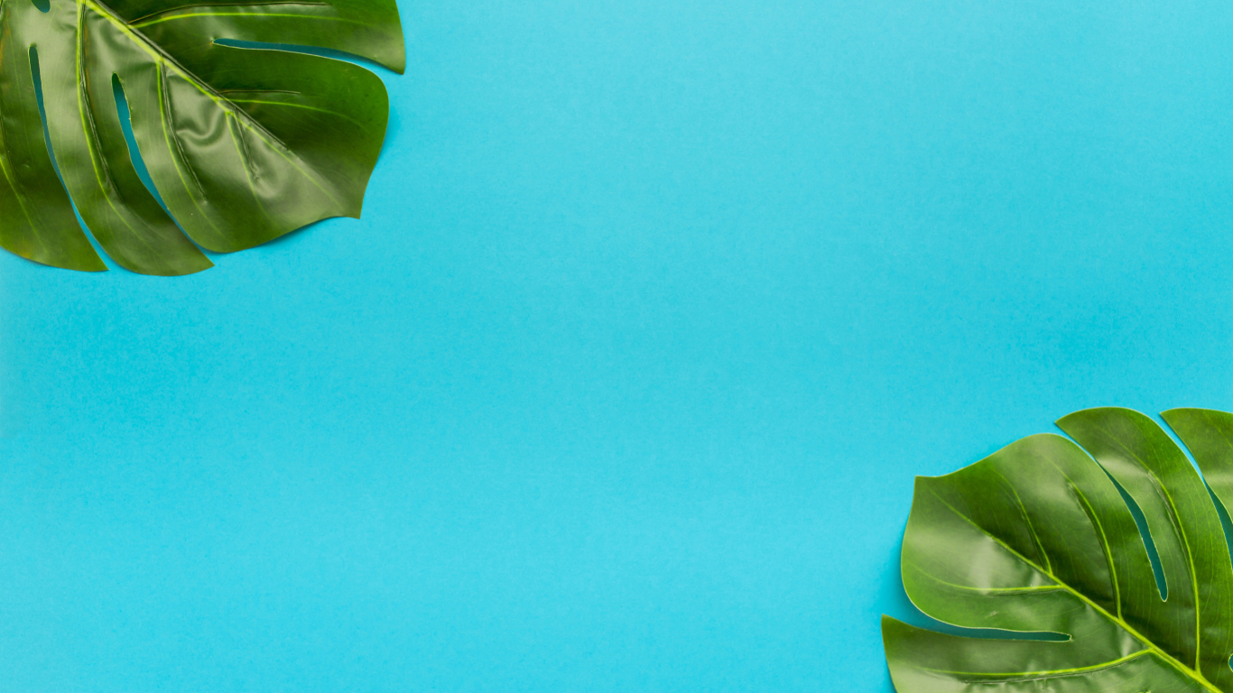 Два зеленых листа на голубом фоне