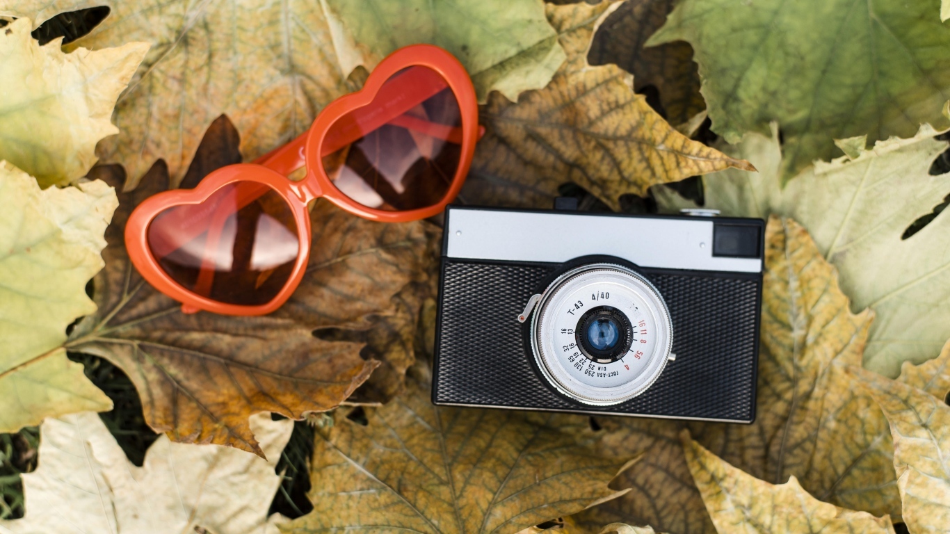Фотоаппарат с очками на опавшей листве