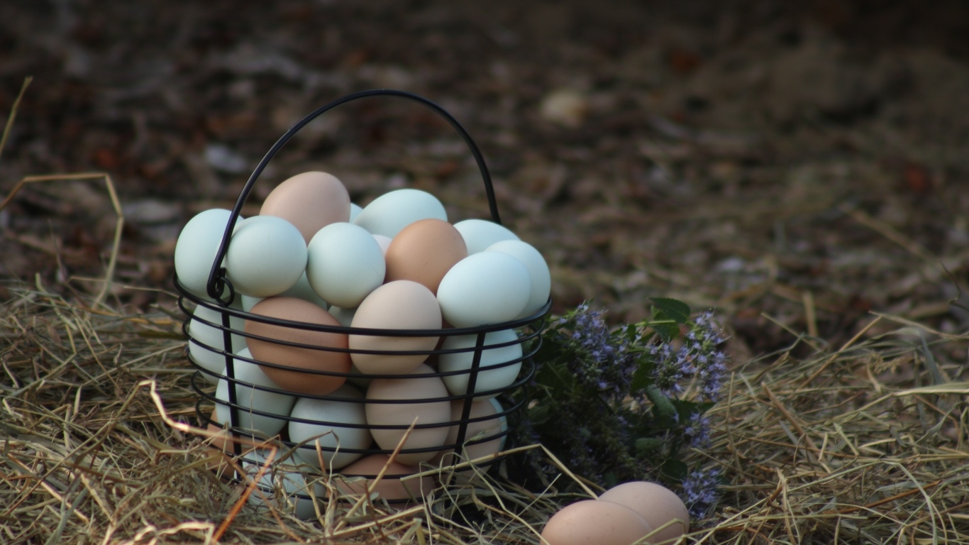Корзина домашних куриных яиц на сене