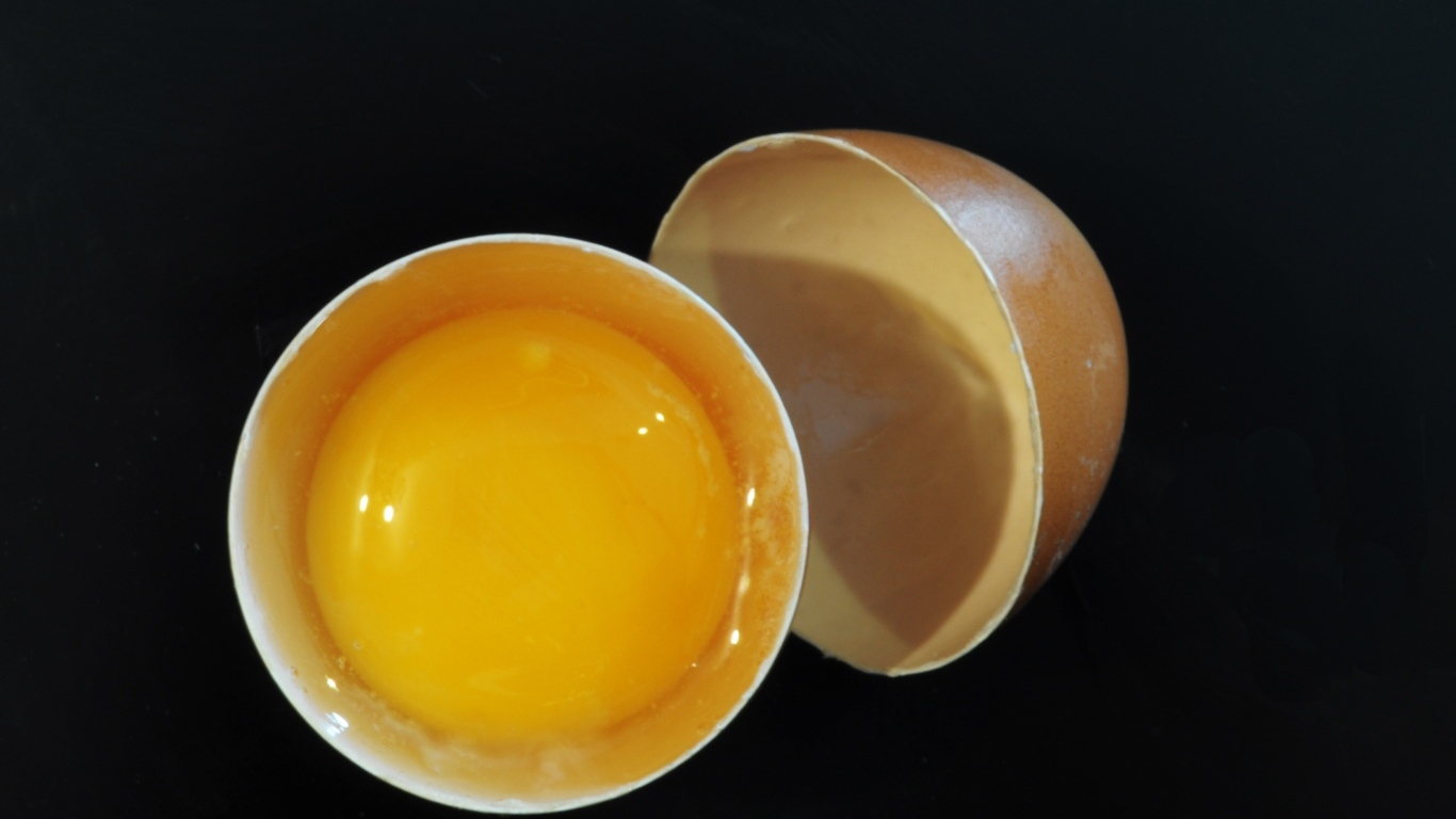 Разбитое яйцо с желтком на черном фоне