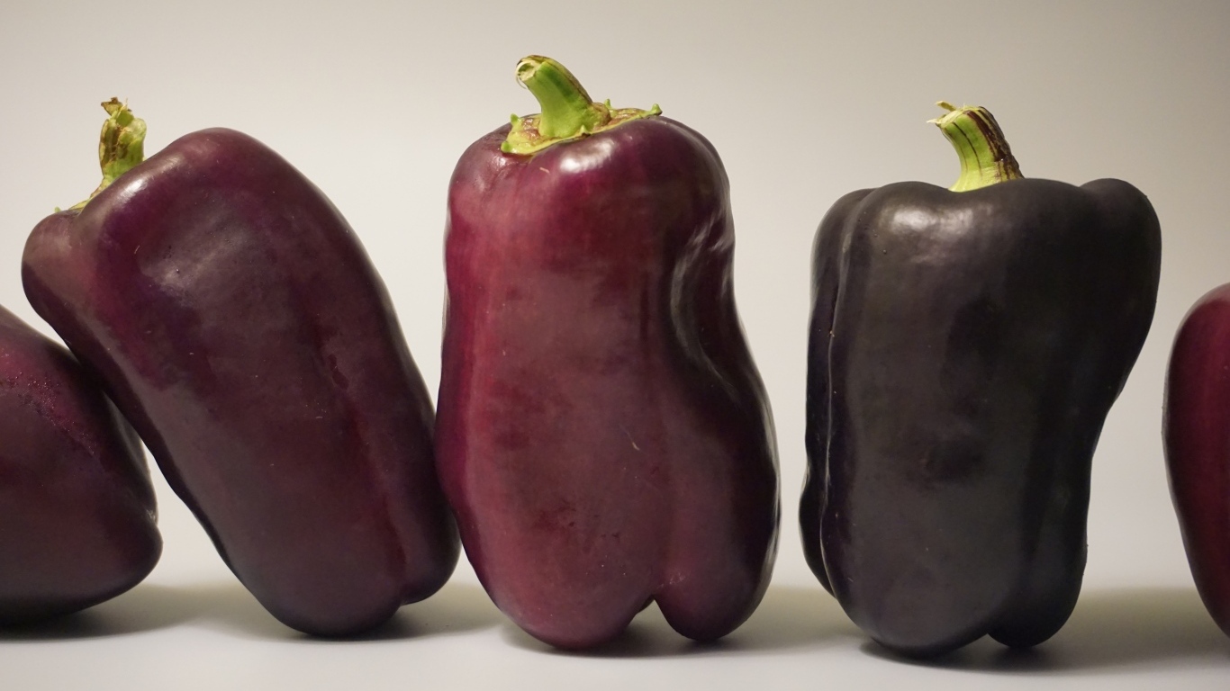 Баклажаны на сером фоне