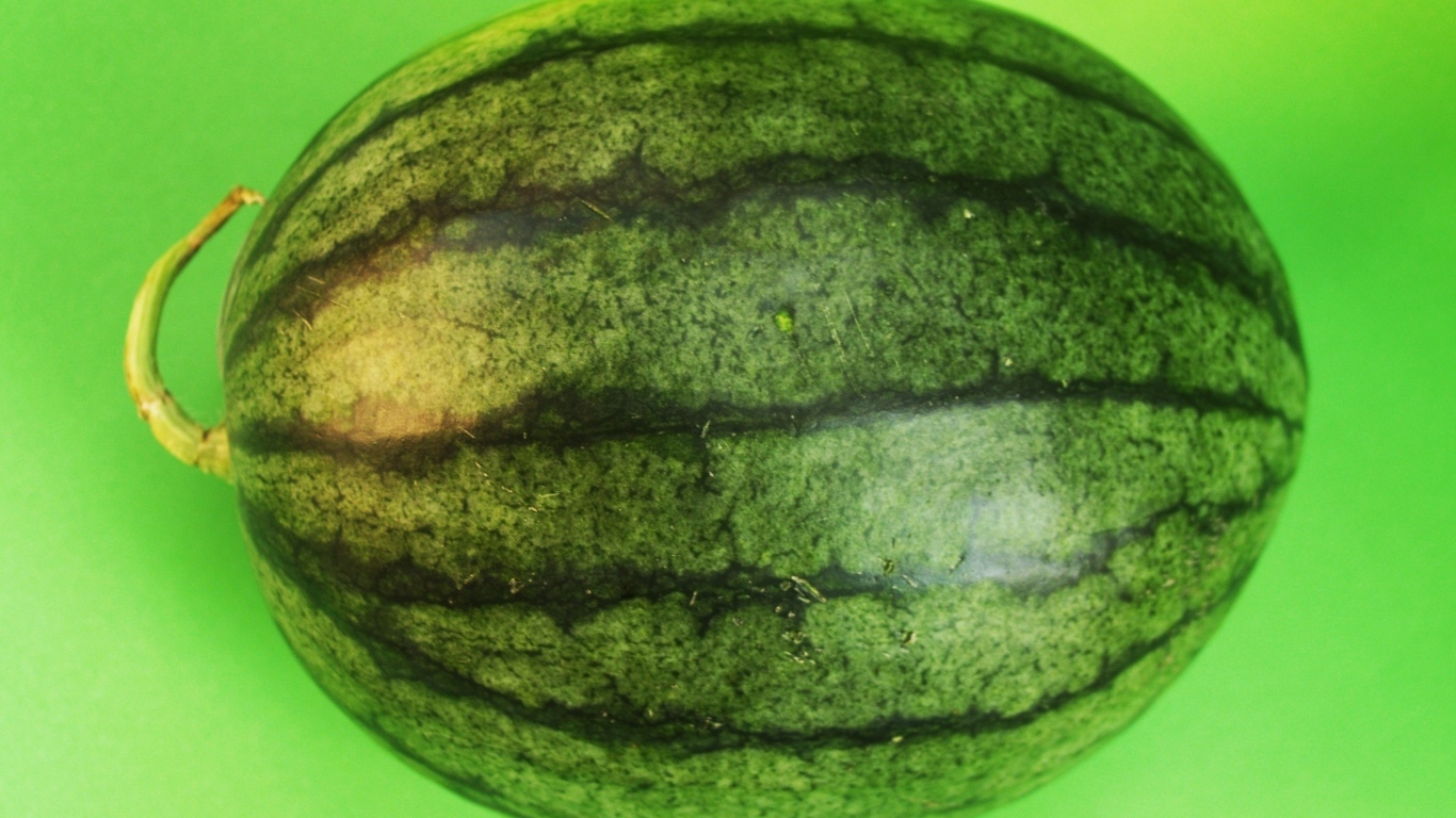 Большой полосатый арбуз на зеленом фоне