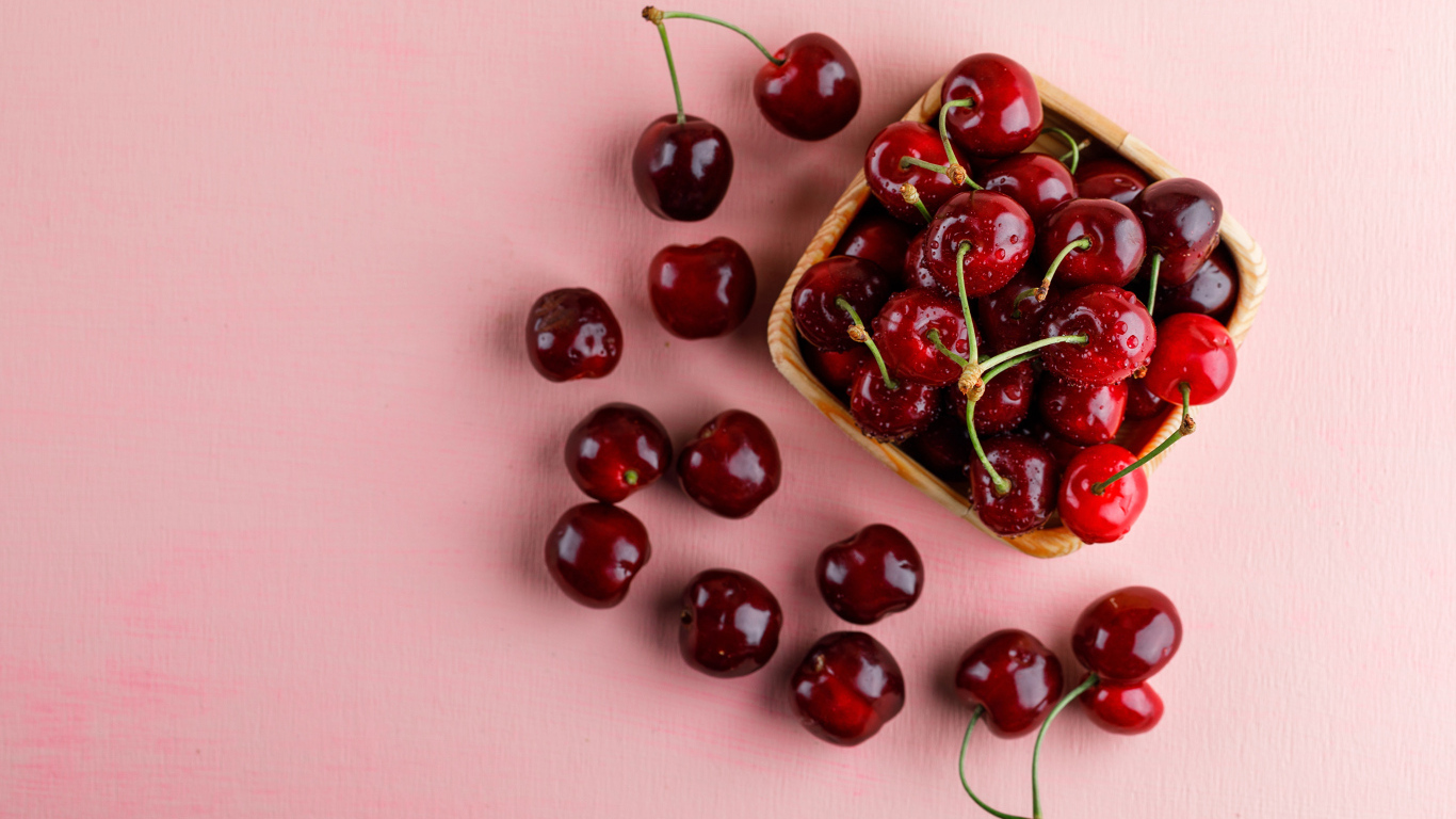 Спелые сладкие красные черешни на розовом фоне