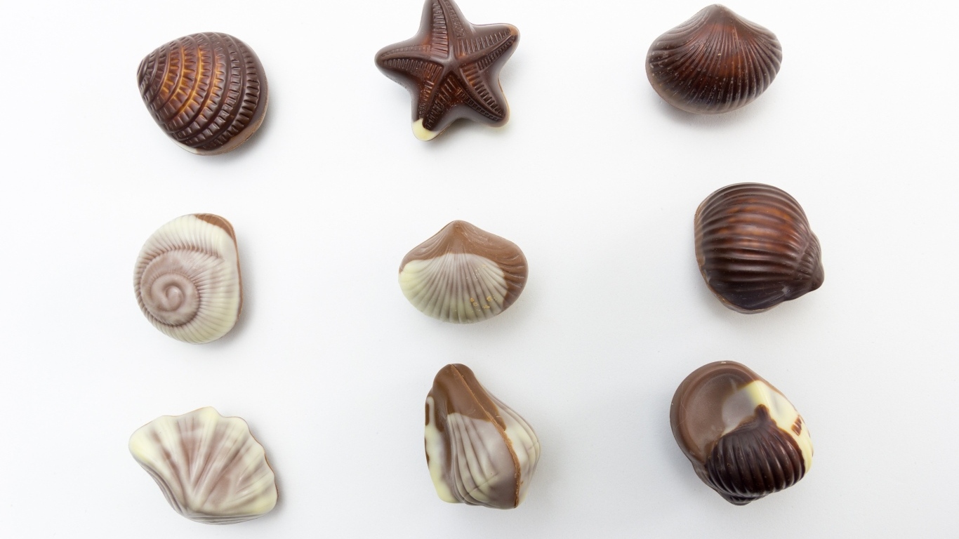 Шоколадные конфеты в форме ракушек на сером фоне