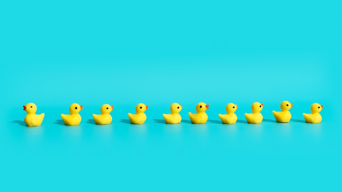 Маленькие игрушечные утята на голубом фоне