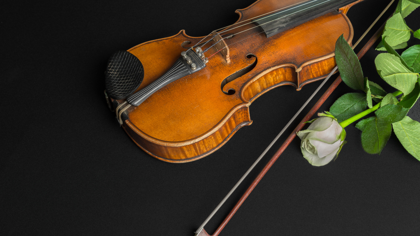 Wooden violin with white rose on a black table