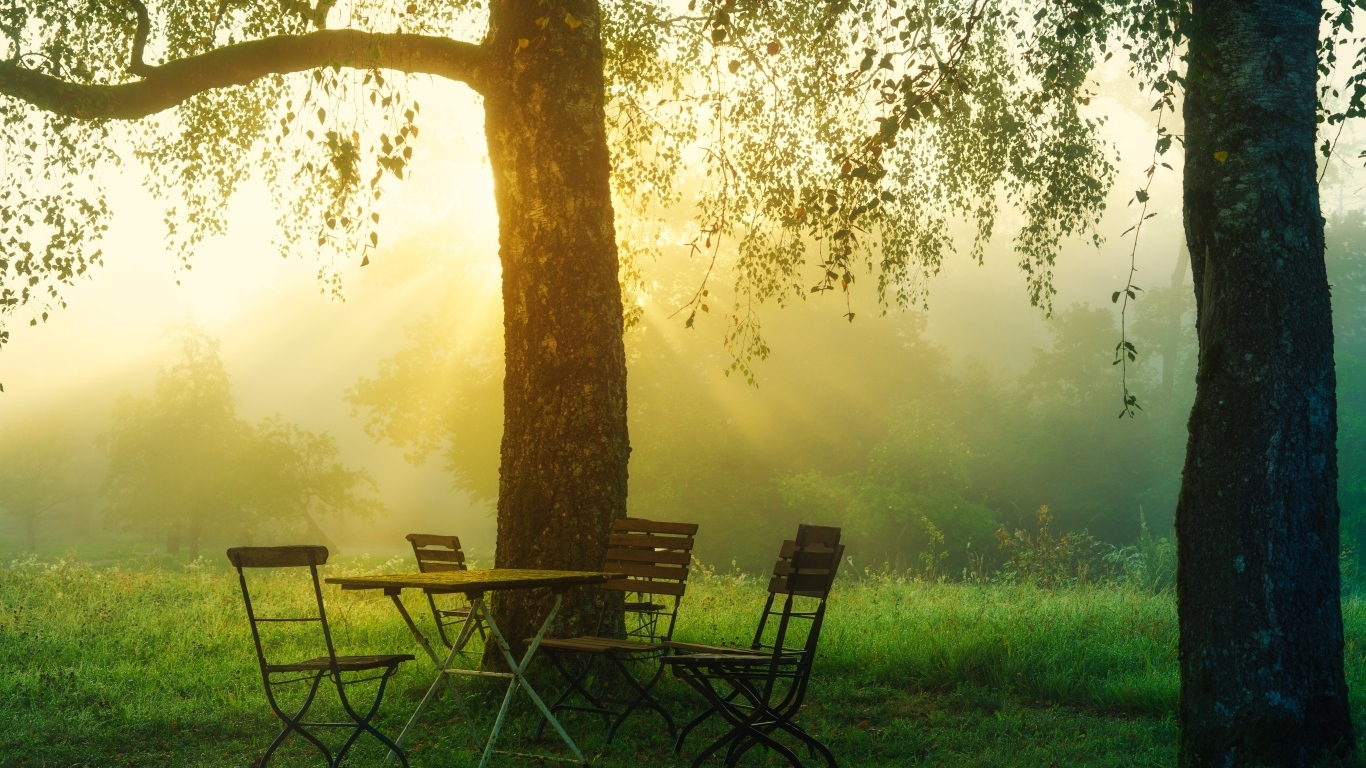 Стол и стулья у дерева в саду на рассвете 