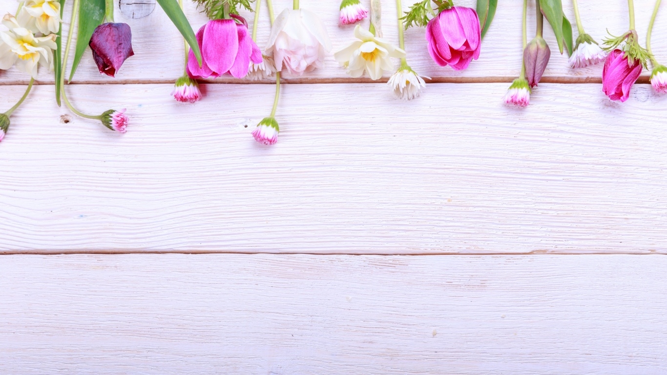 Красивые разноцветные весенние цветы на деревянном фоне