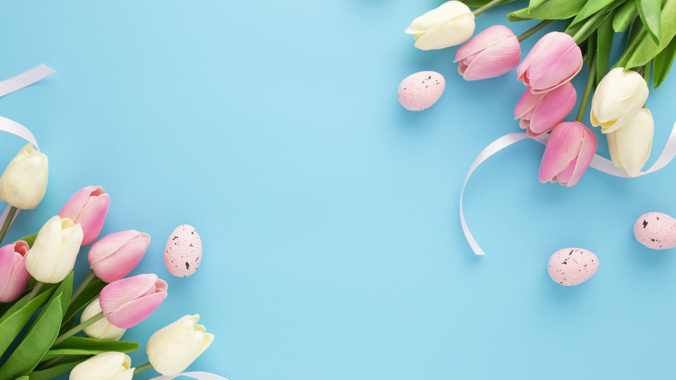 Красивые тюльпаны с яйцами на голубом фоне