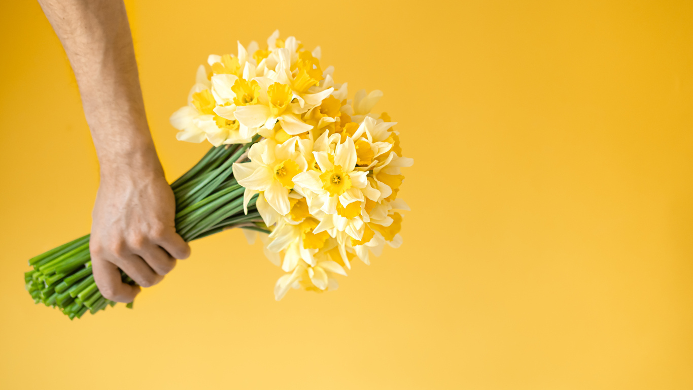 Букет нарциссов в руке на желтом фоне