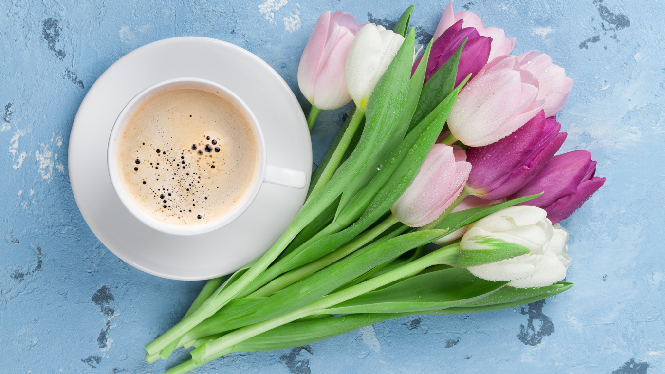 Букет разноцветных тюльпанов с чашкой кофе на голубом столе