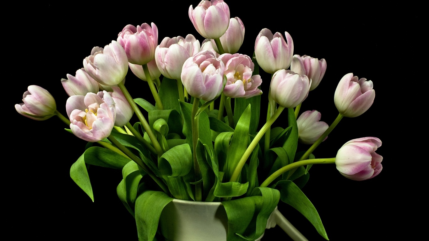 Букет розовых тюльпанов в вазе на черном фоне