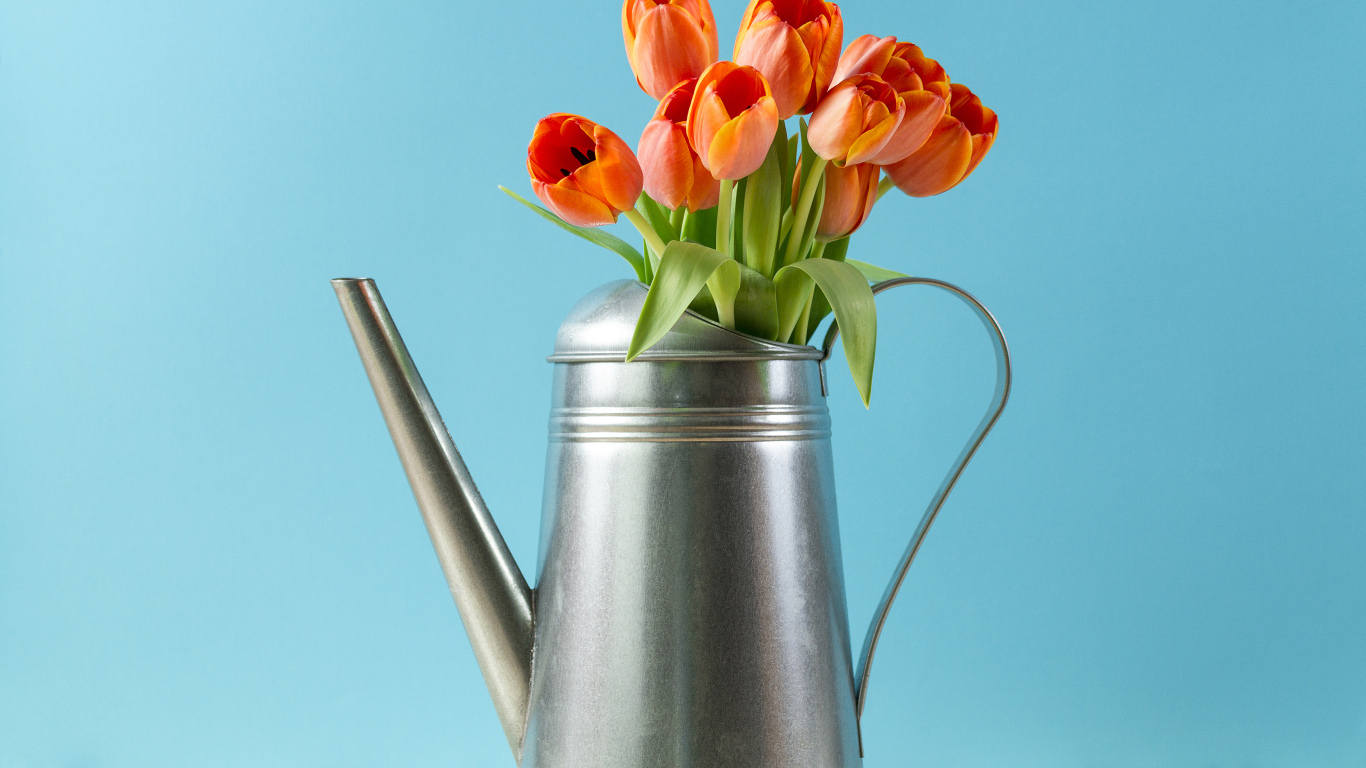 Букет тюльпанов в металлической лейке на голубом фоне