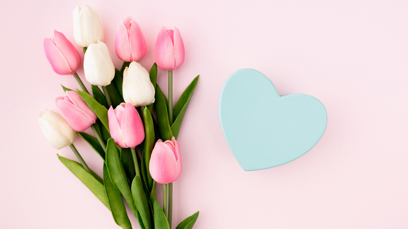 Букет тюльпанов с голубым сердцем на розовом фоне 