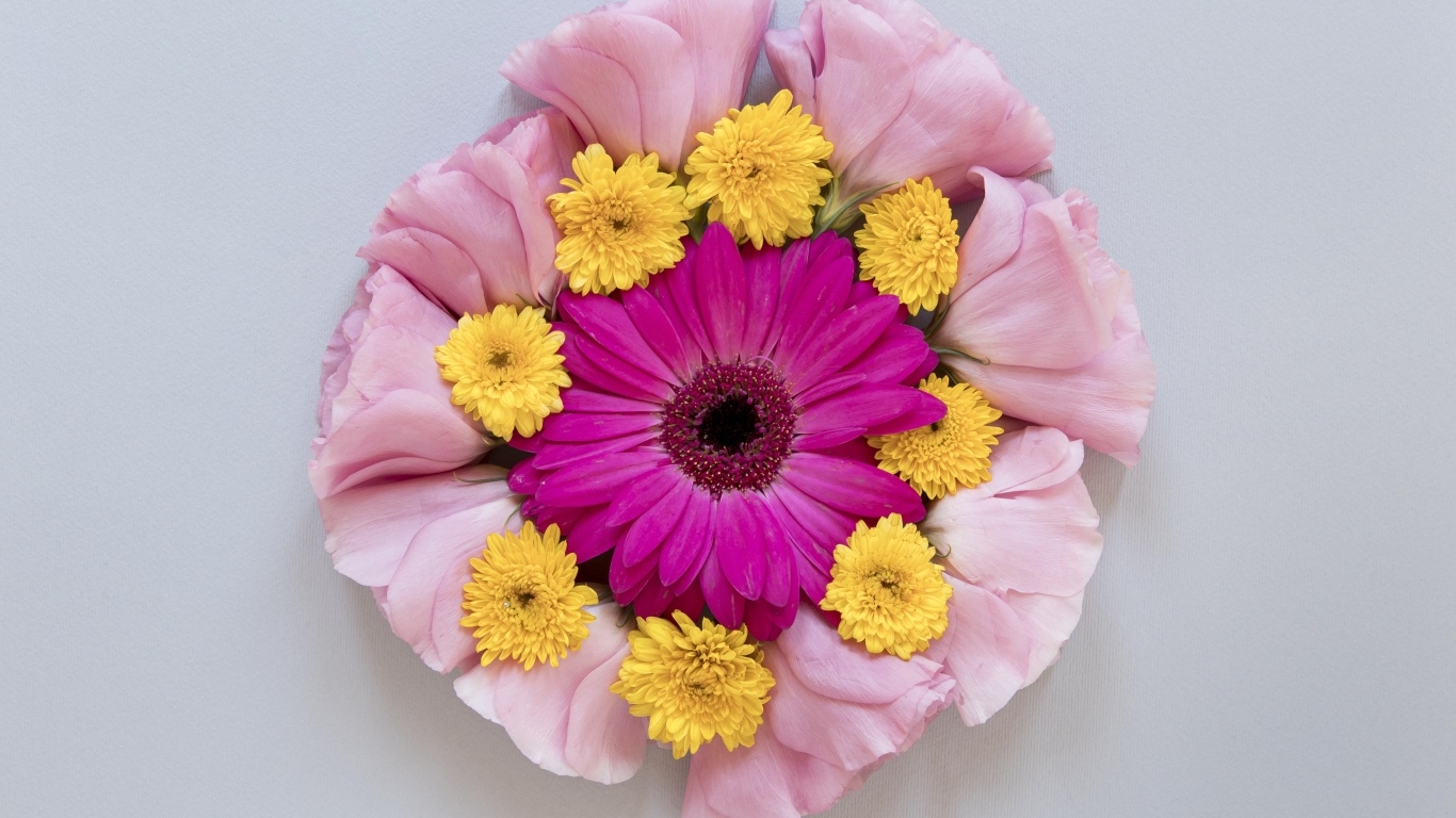 Круг из нежных цветов на сером фоне