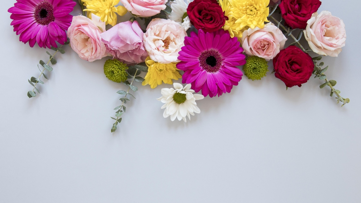 Разноцветные цветы на сером фоне