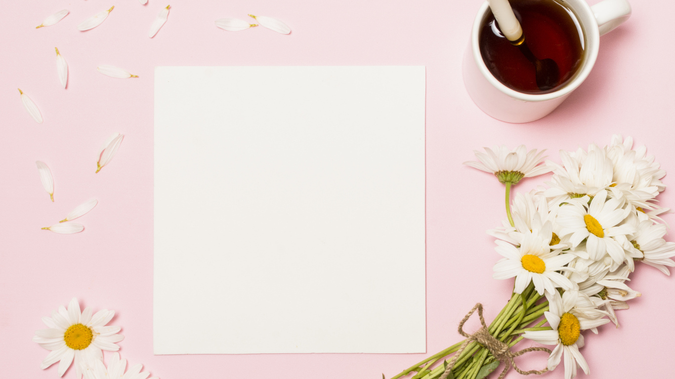 Розовый фон с ромашками, чашкой чая и белым листом бумаги, шаблон