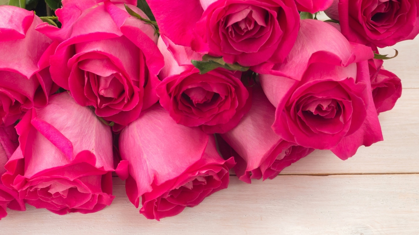 Бутоны розовых роз крупным планом