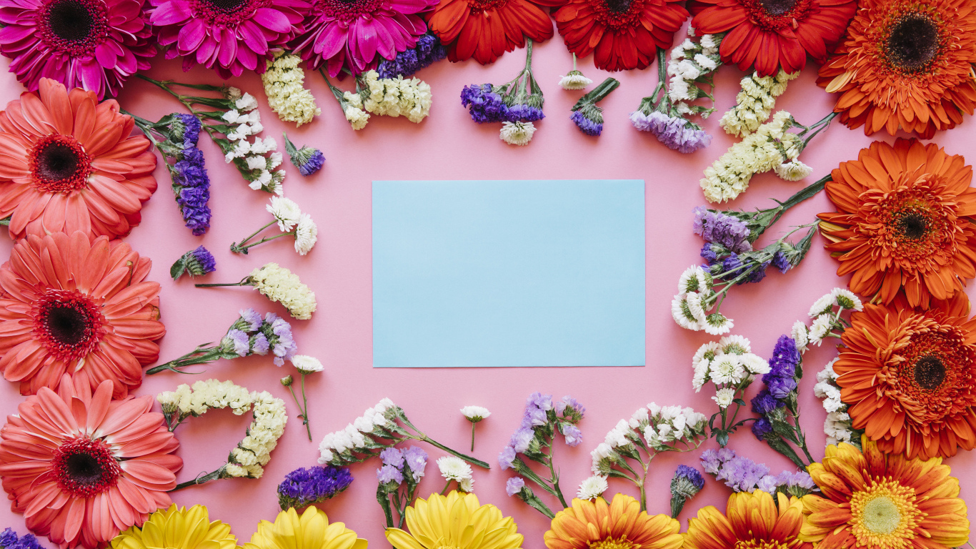 Лист бумаги и герберы на розовом фоне, шаблон