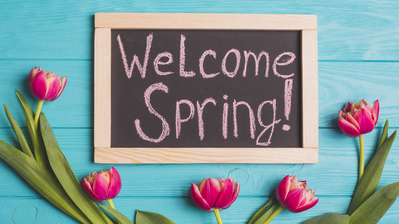 Тюльпаны на голубом фоне с надписью 