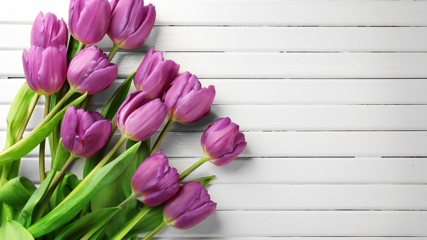 Тюльпаны на белом деревянном фоне