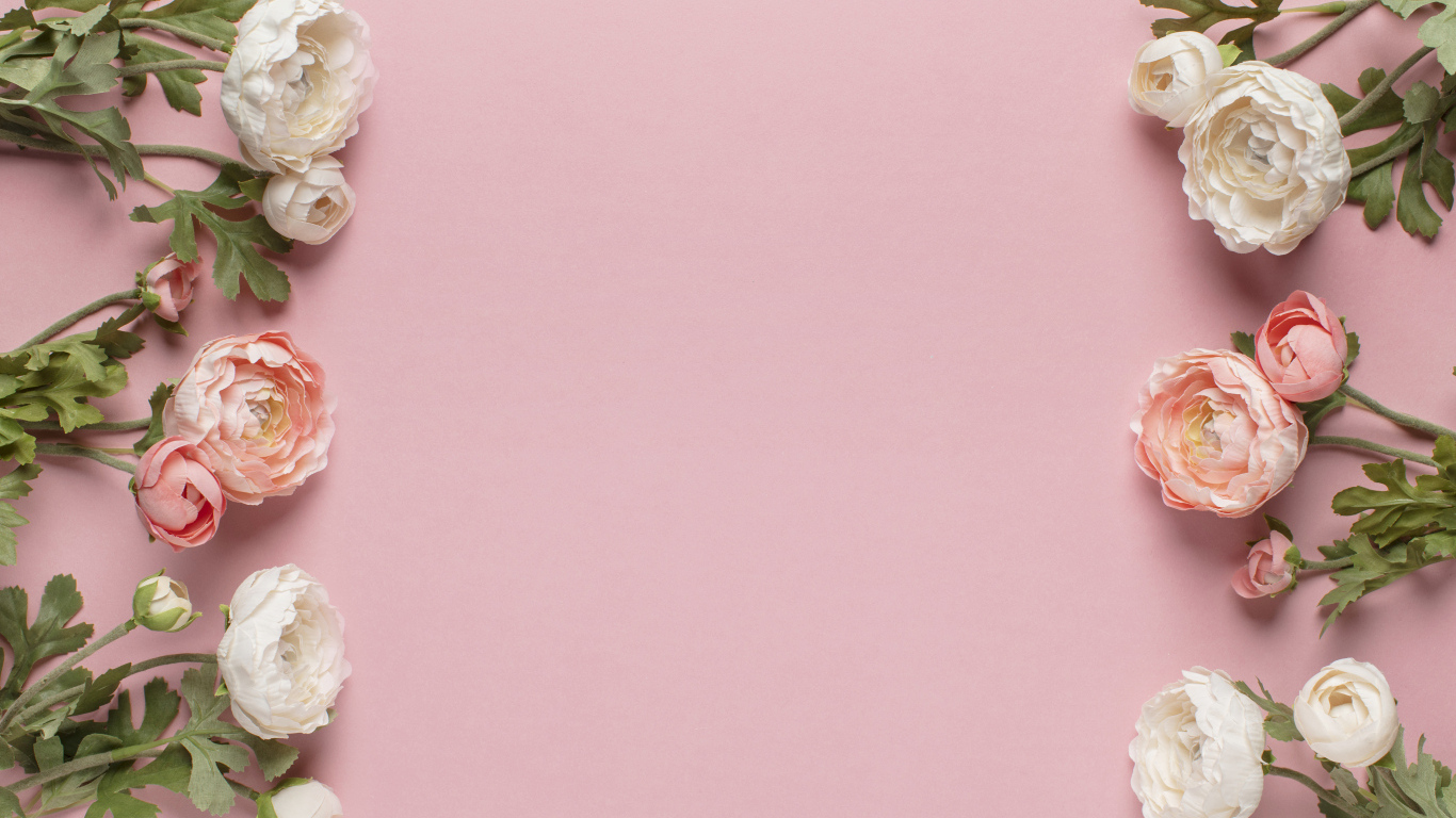 Белые и розовые лютики на розовом фоне, шаблон 