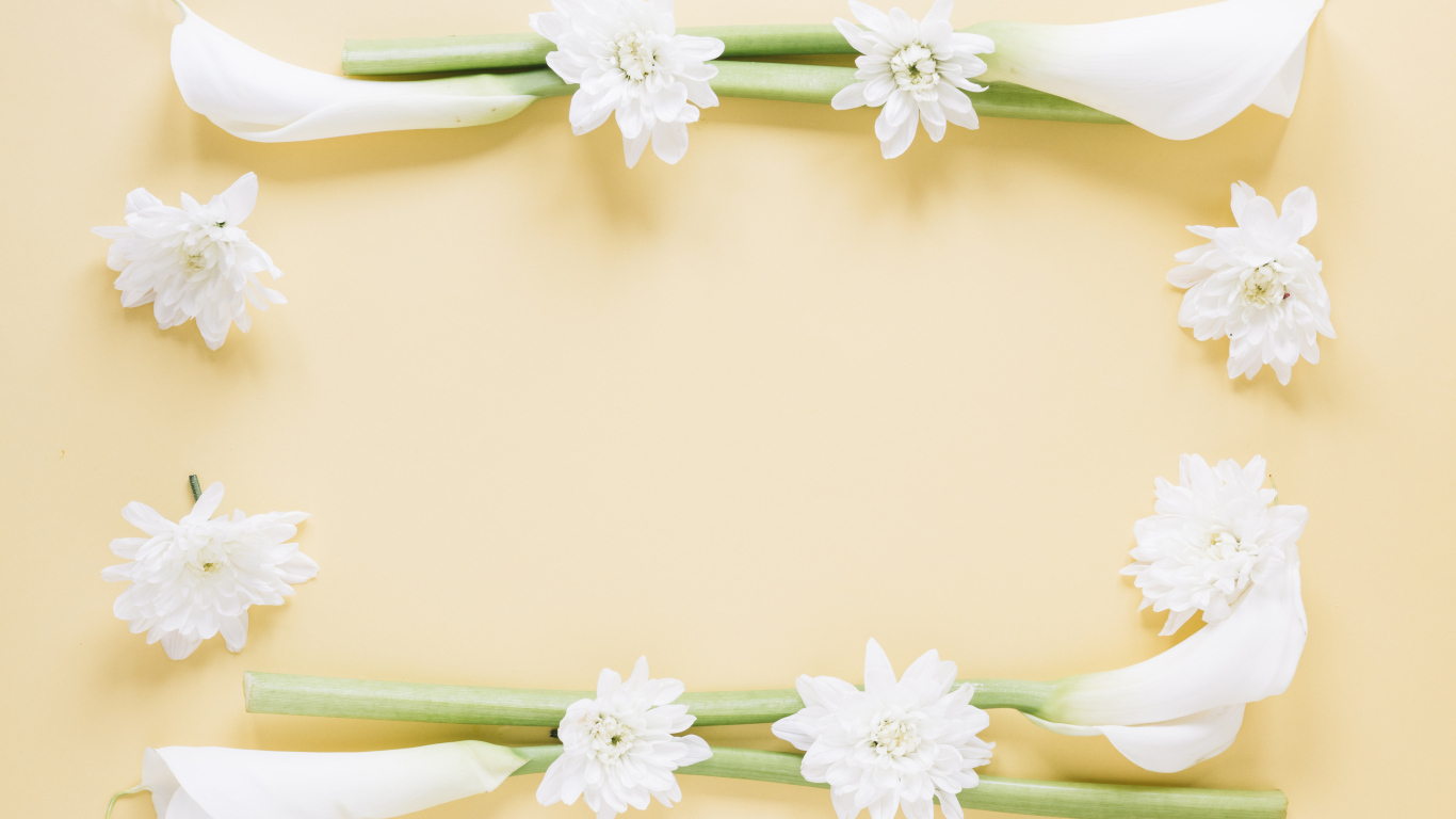 Белые каллы с хризантемами на желтом фоне