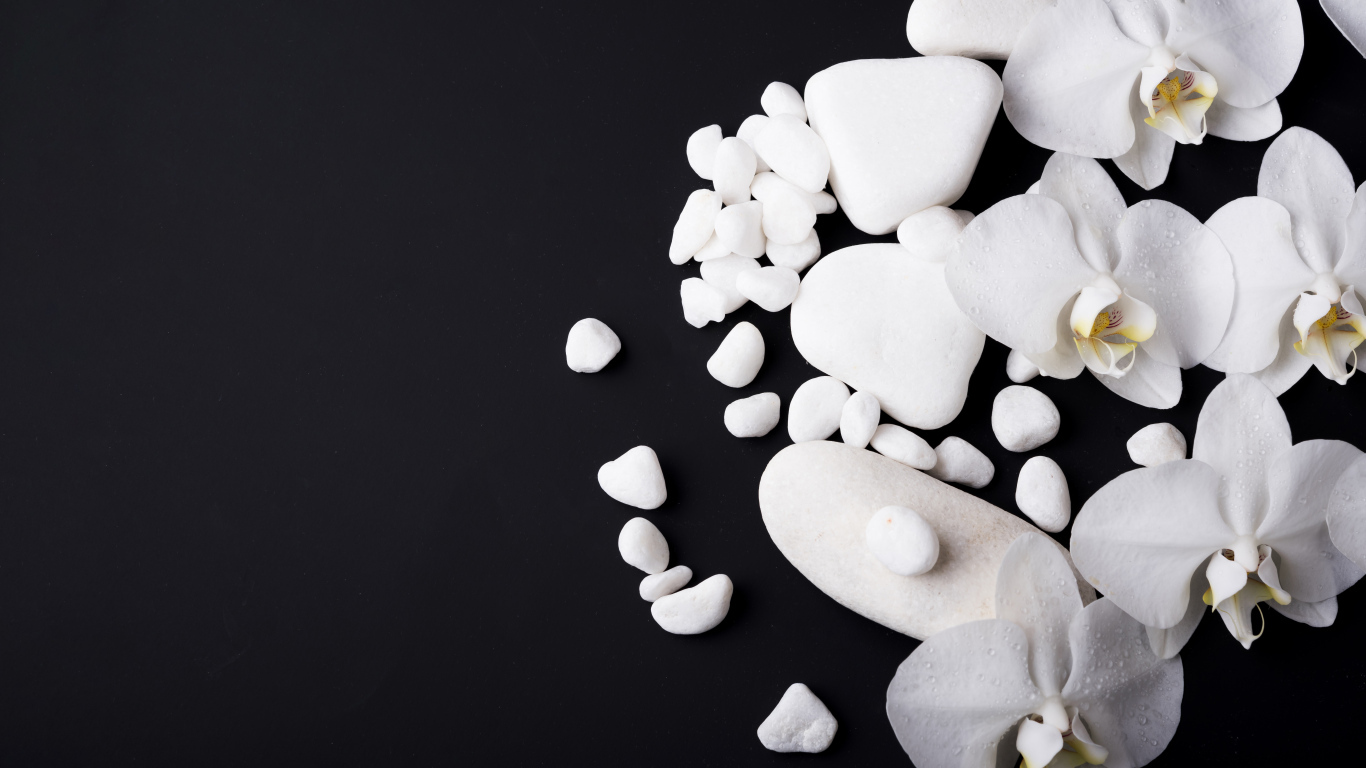 Белые орхидеи с камнями на черном фоне
