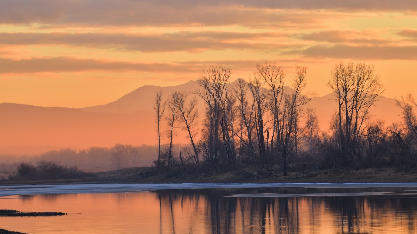 Деревья на закате солнца у озера осенью