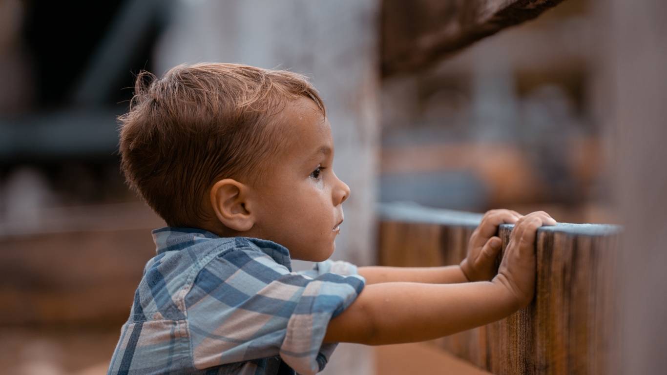 Любопытный мальчик в рубашке