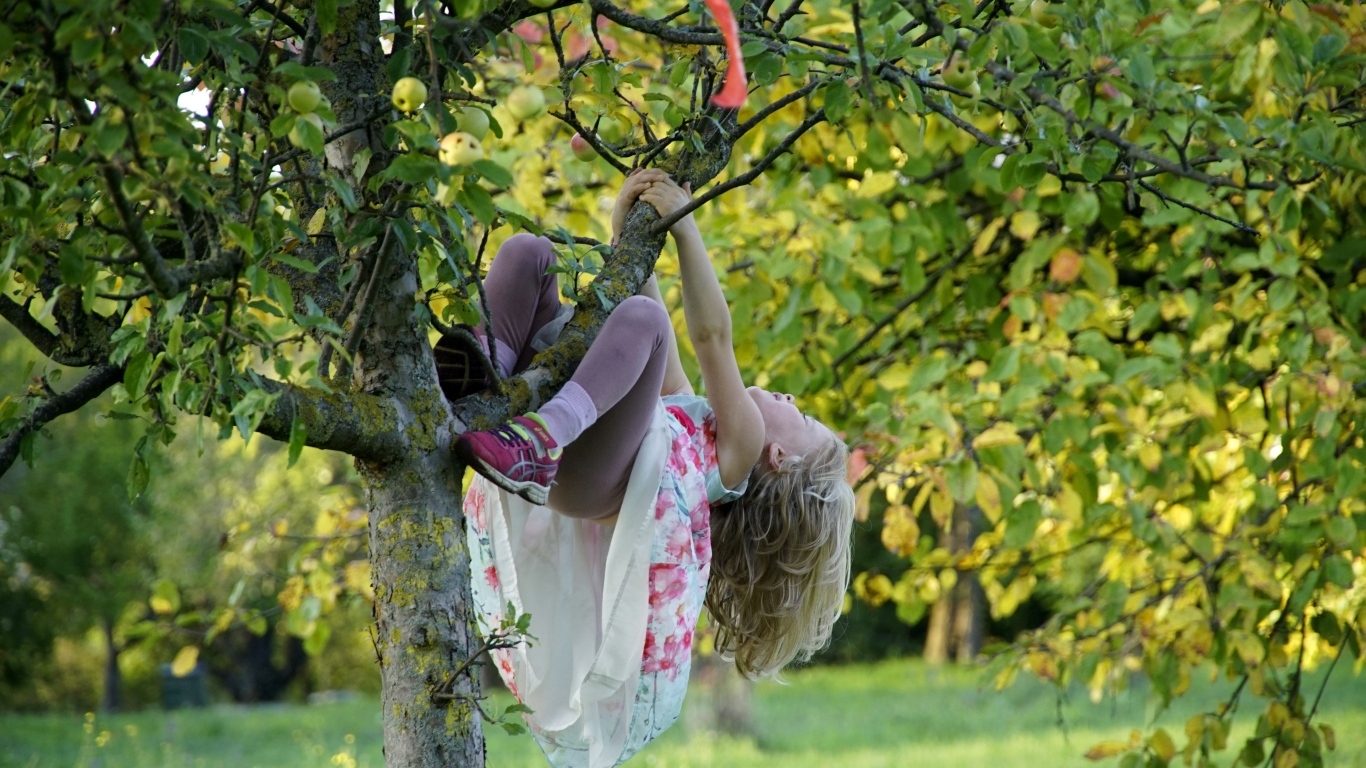 Девочка висит на дереве с яблоками