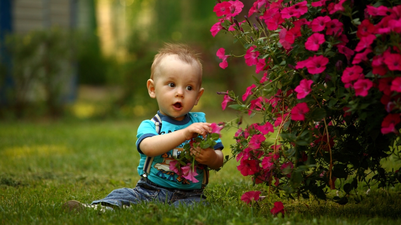 Удивленный малыш сидит у розовых цветов петунии