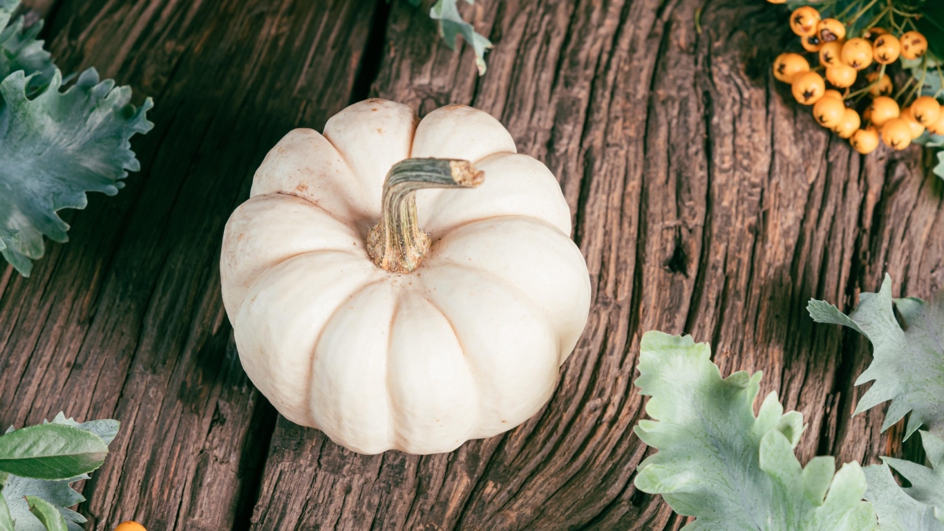 Тыква на столе с ягодами рябины