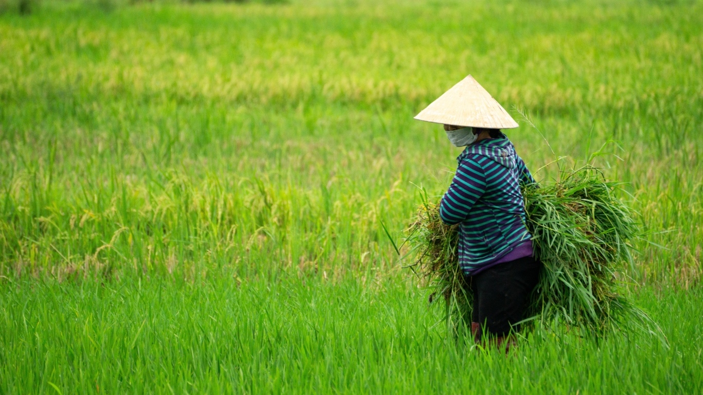 Женщина фермер с зелеными растениями в руках