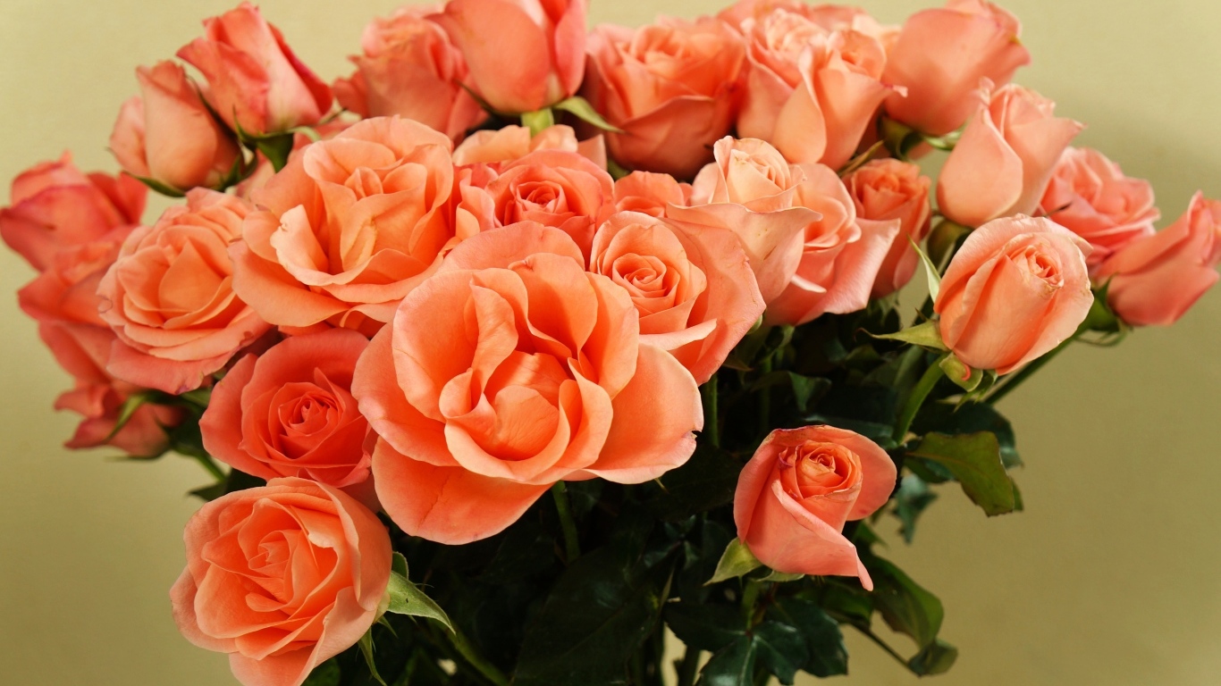 Огромный букет оранжевых роз крупным планом