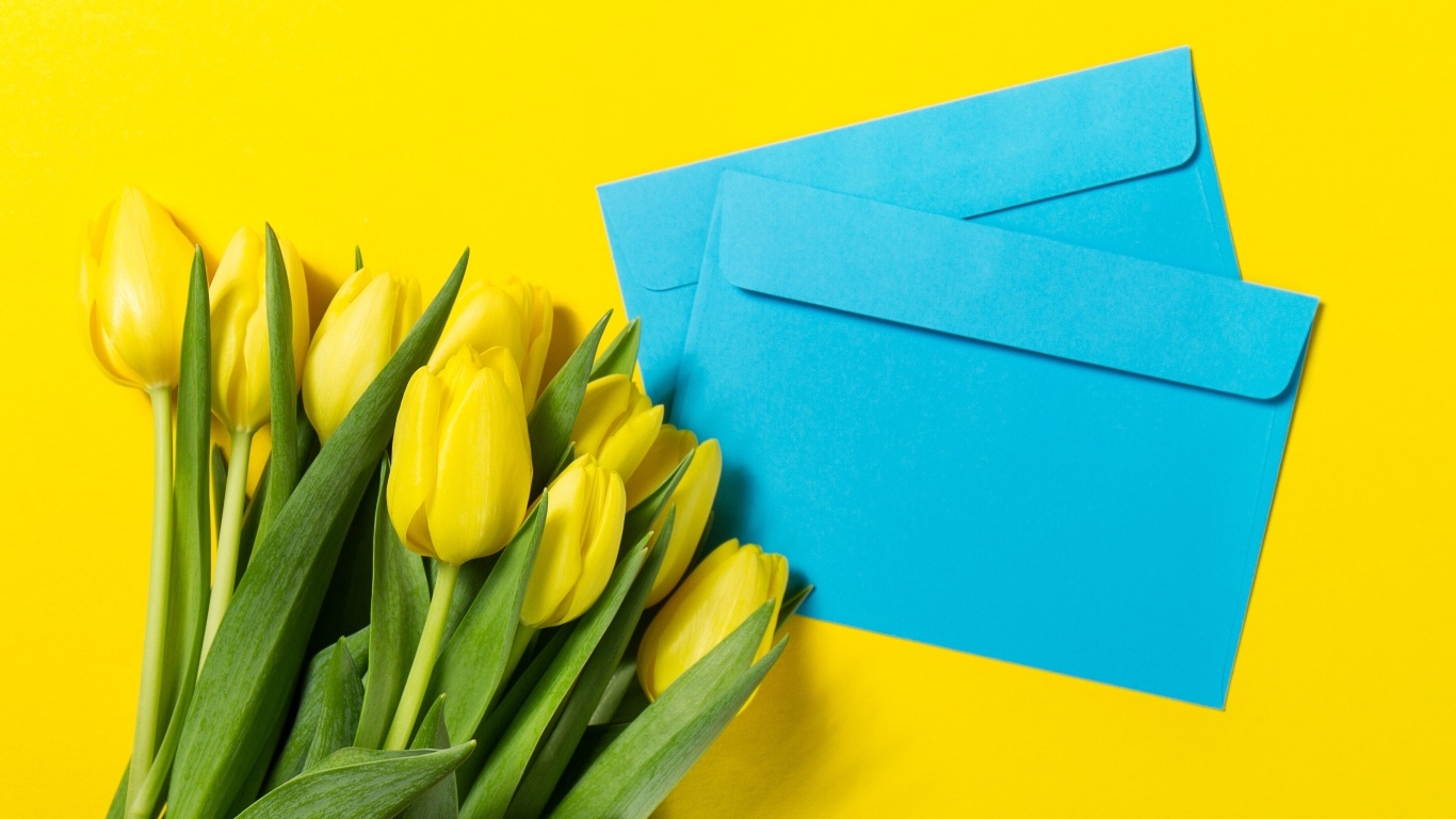 Два синих конверта с тюльпанами на желтом фоне