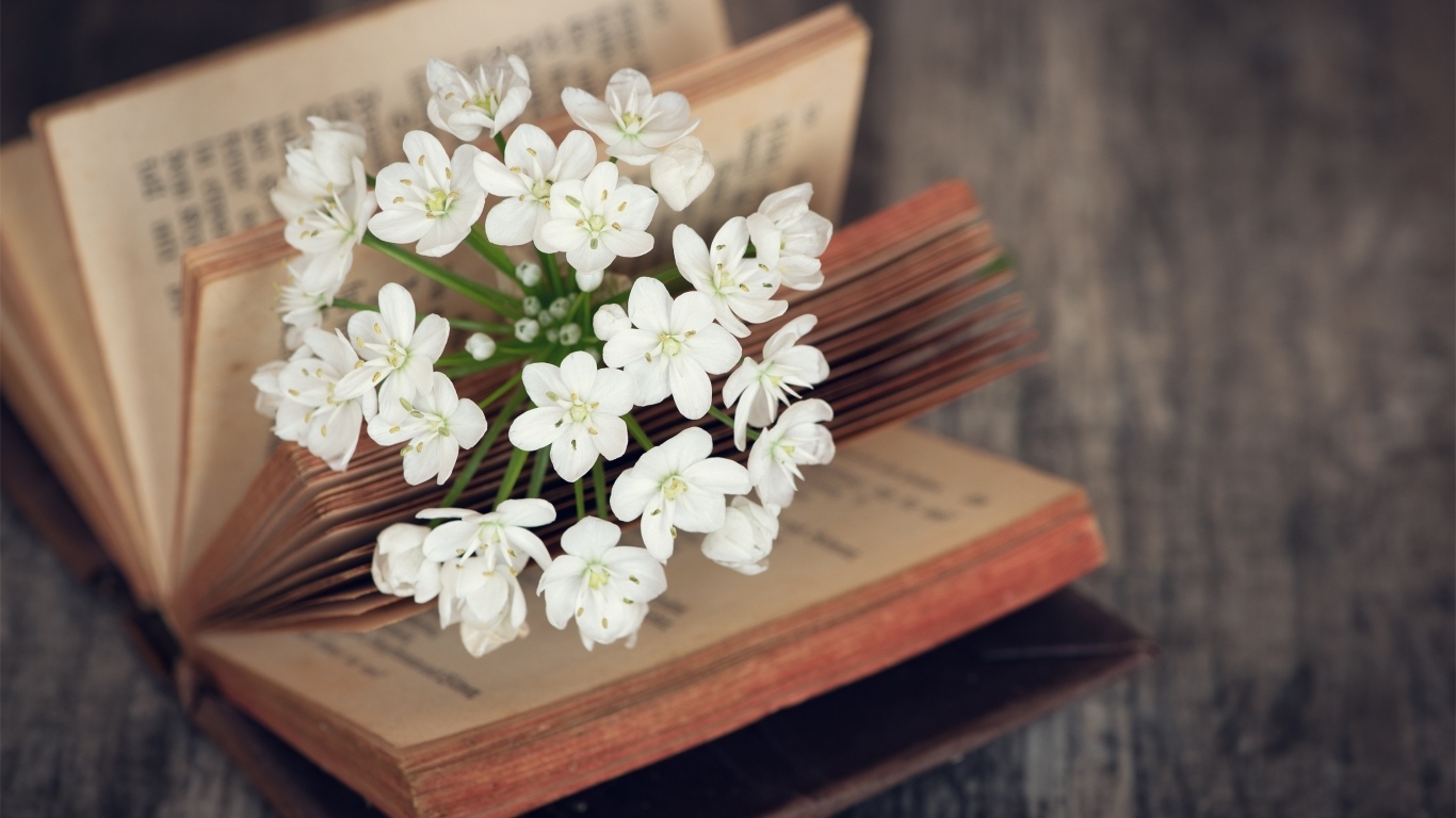 Белые цветы в открытой книге