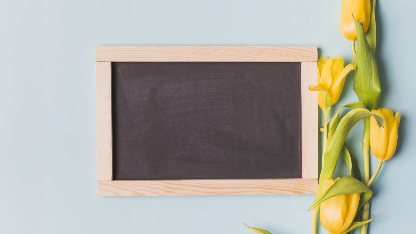 Желтые тюльпаны с рамкой для фона на сером фоне