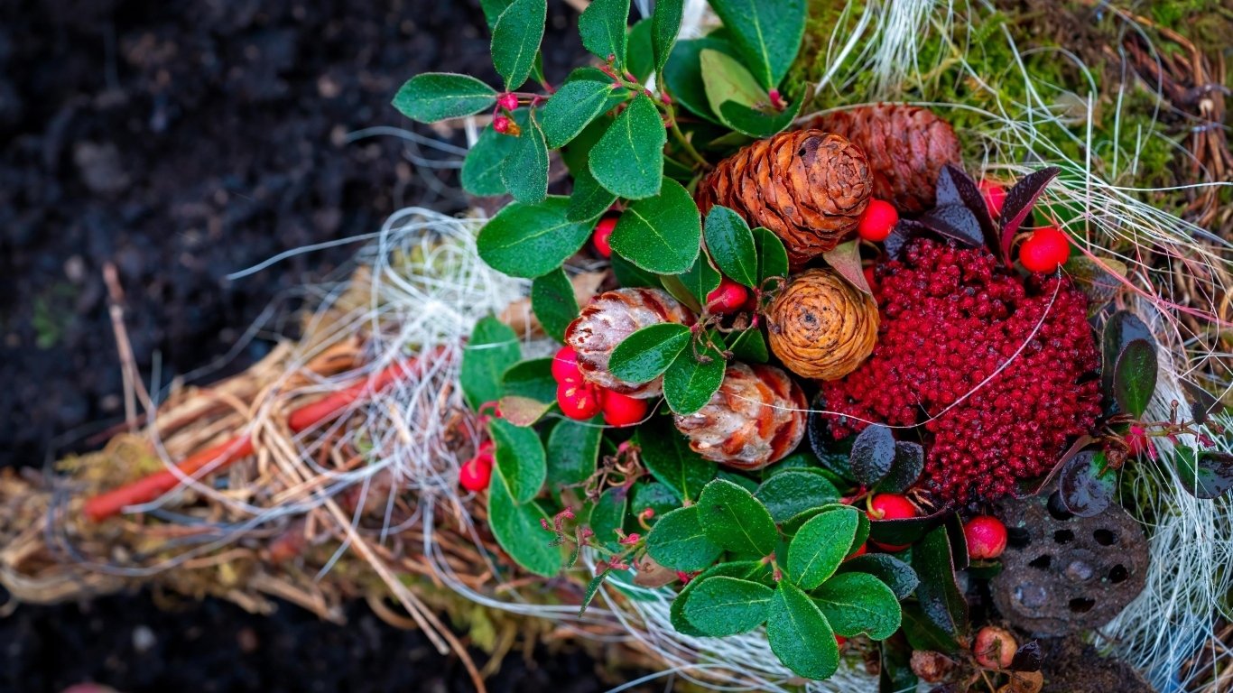 Шишки с ветками и ягодами калины