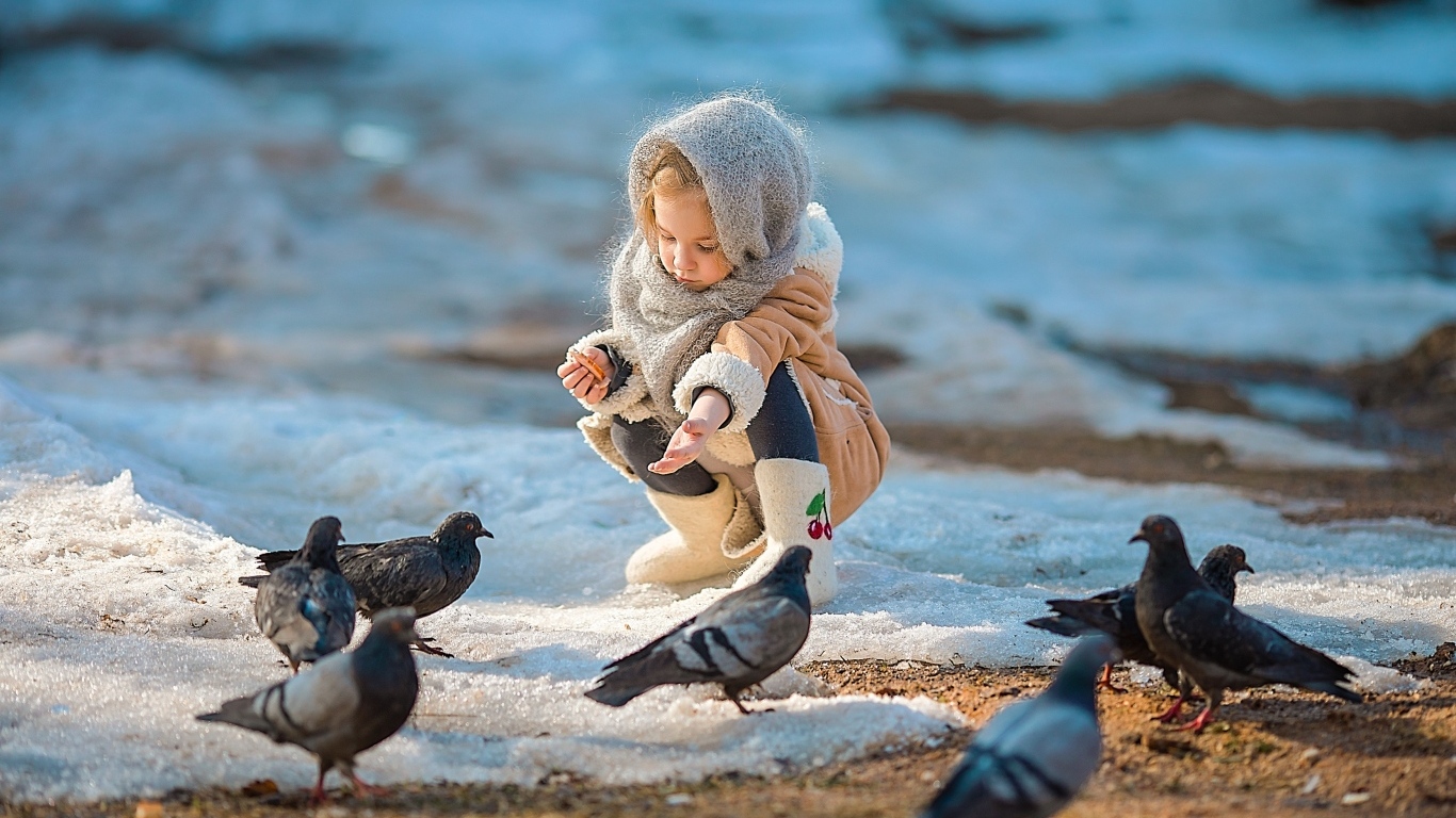 Маленькая девочка кормит голубей зимой