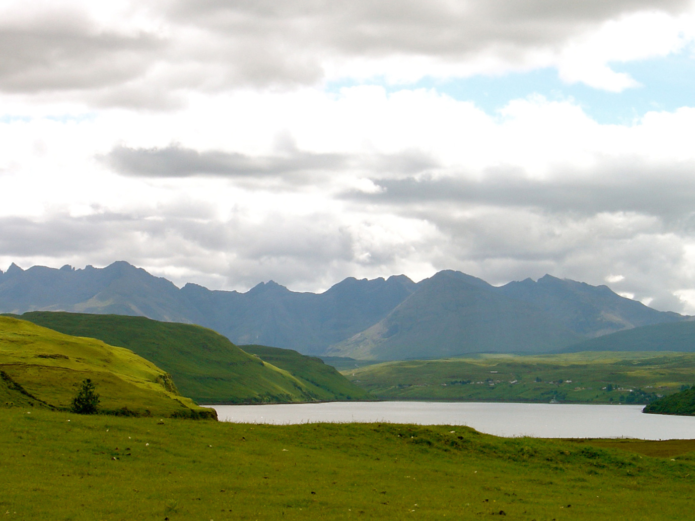 Зеленые поля