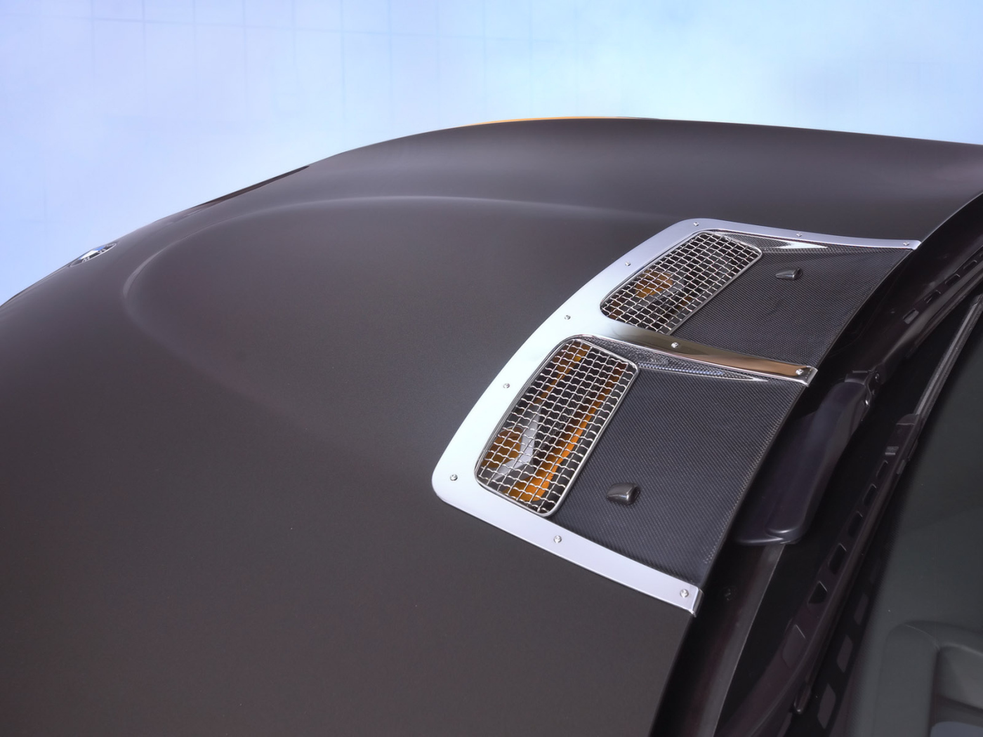 Капот Schnitzer