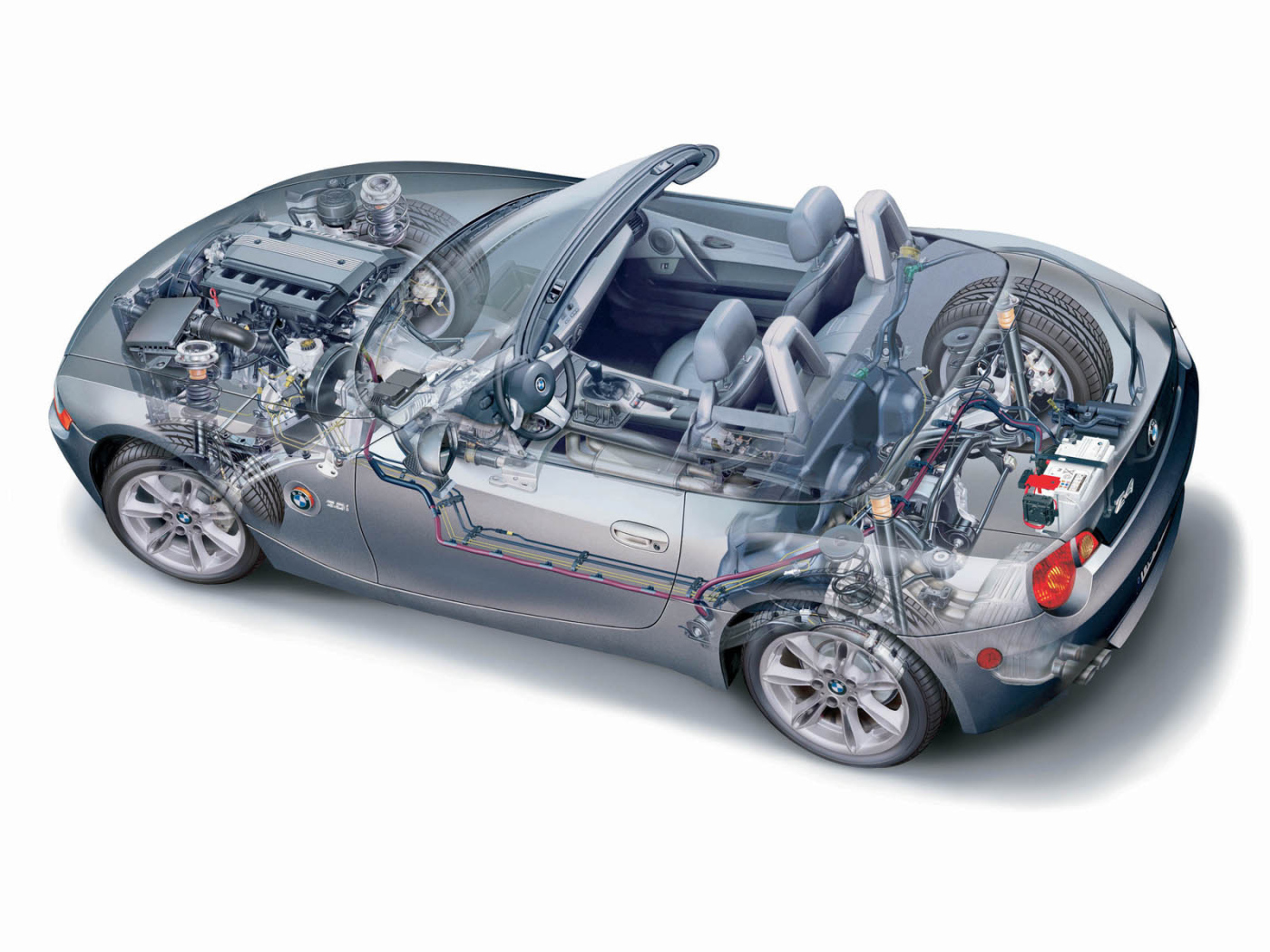 Z4 Organic рисунок