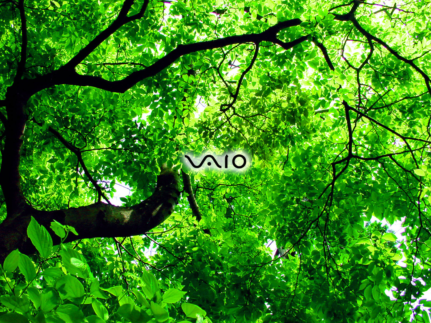 Производитель лоптопов Sony