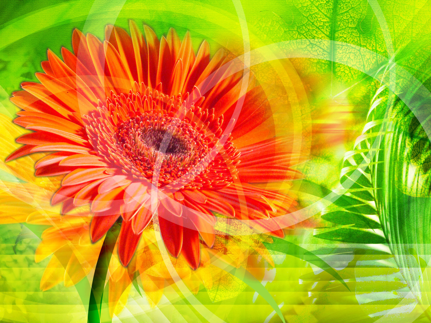 Красное сияние