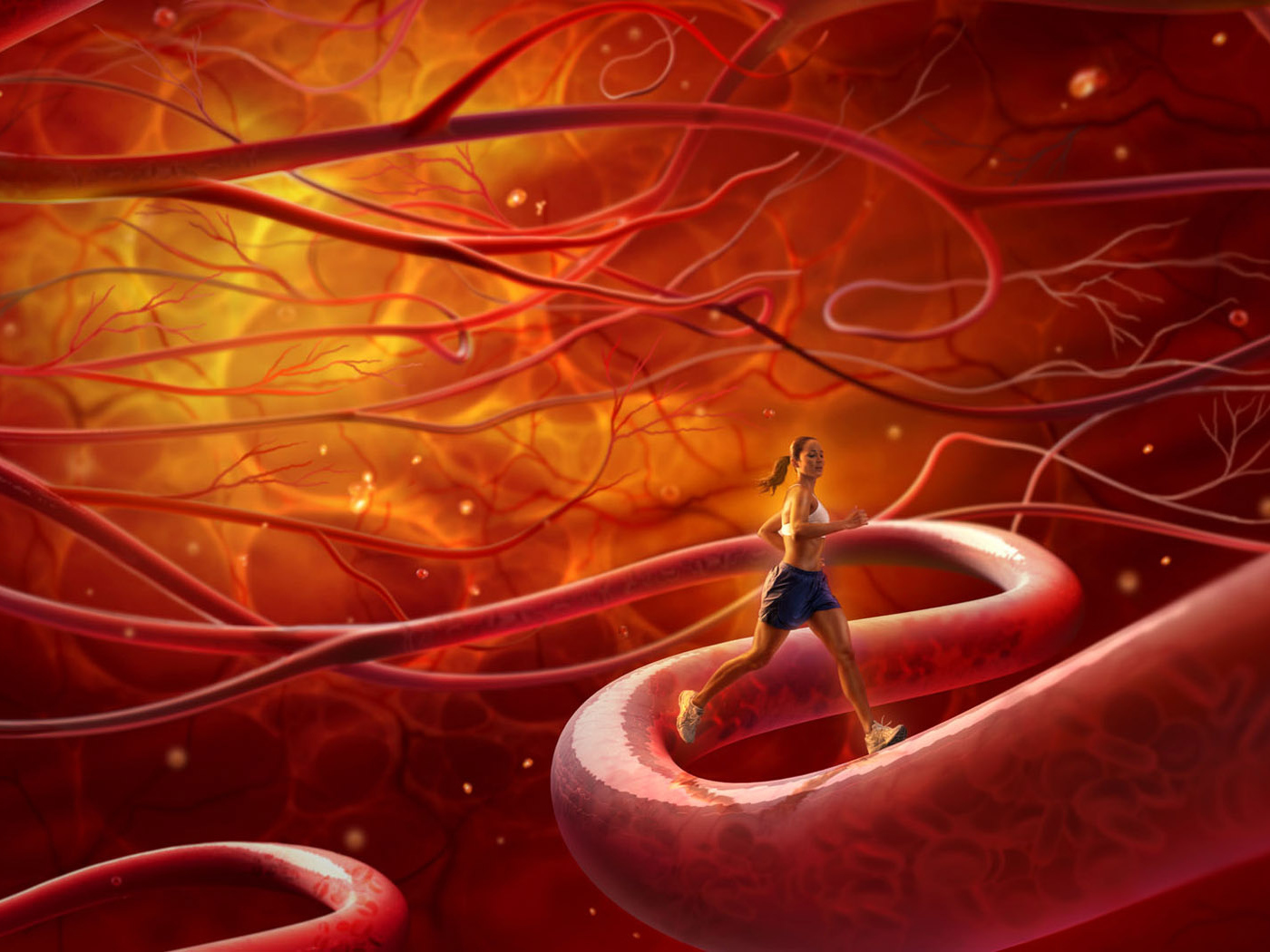 Тренировка