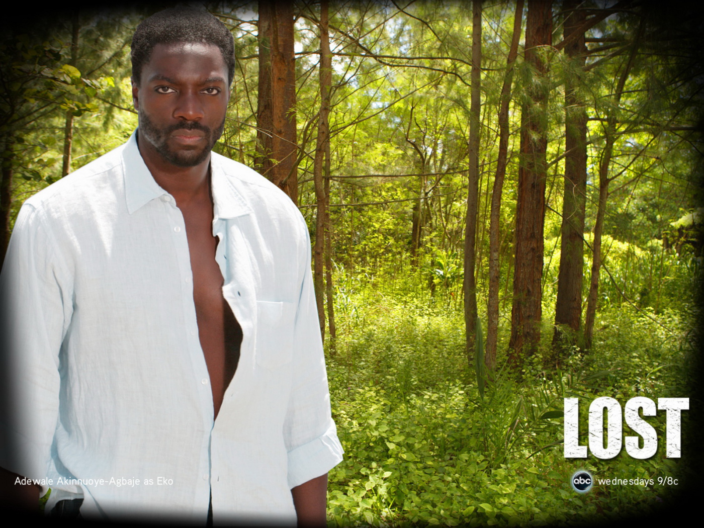 Остаться в живых / Сериал потерянные / LOST / Эко