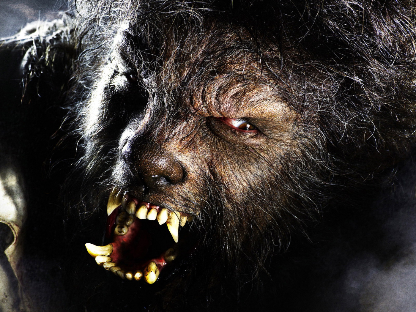 Wolf Man , The