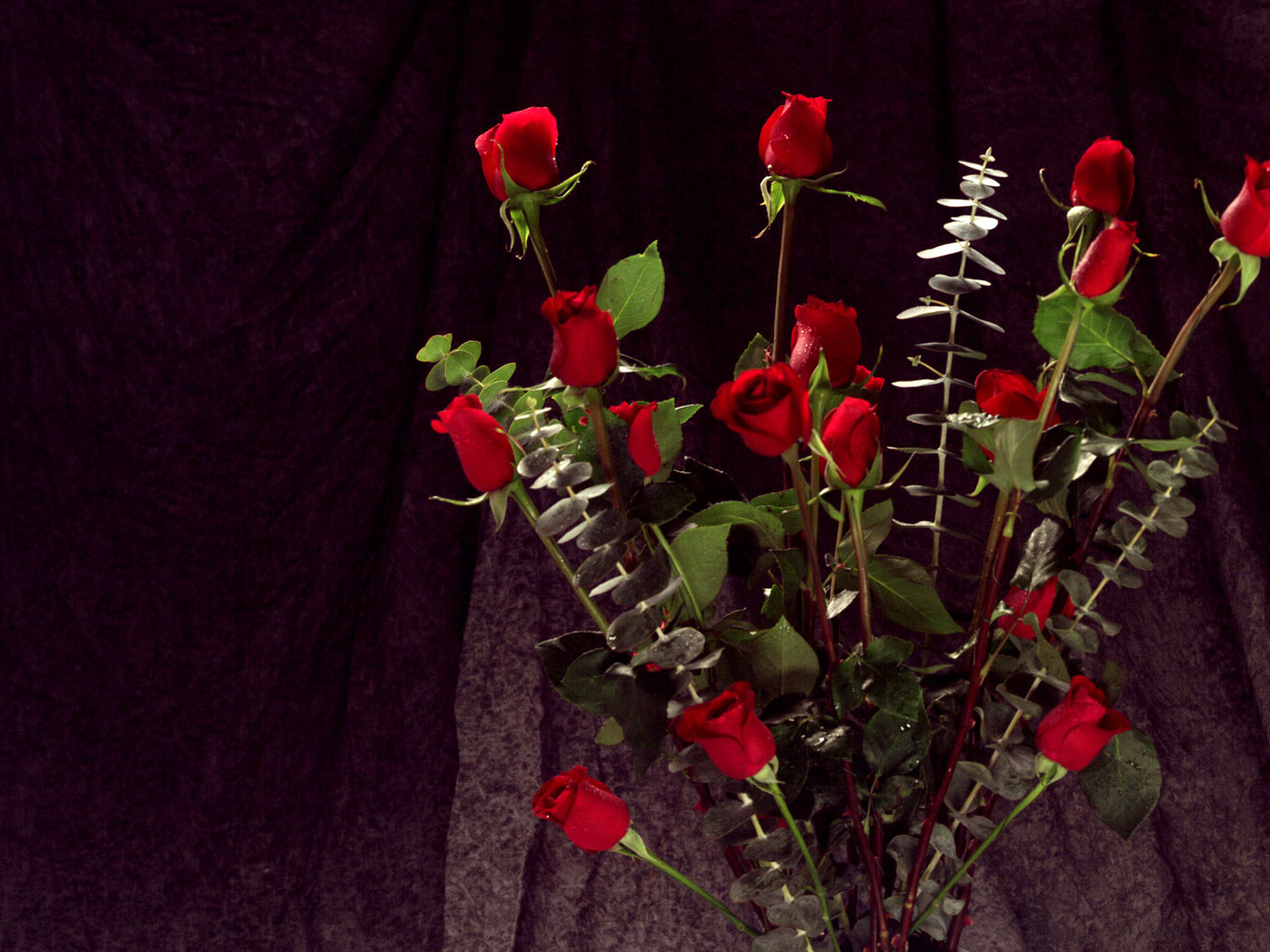 Связка красных роз, Цветов