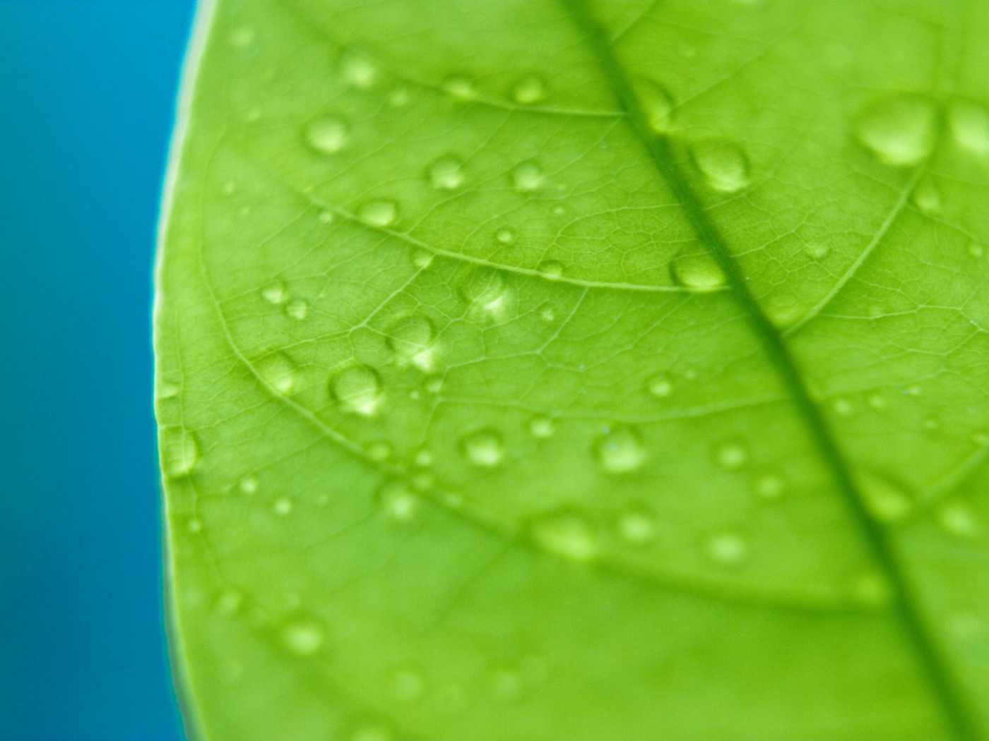 Сбор капель